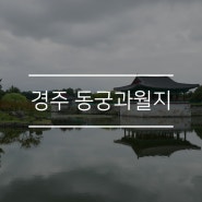 [경북] 경주 동궁과월지(안압지)에서 고즈넉한 분위기 만끽해봐요~