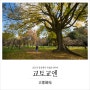 [교토단풍명소] ③ 교토교엔京都御苑, 교토의 중심에서 가을을 만나다