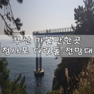 부산가볼만한곳 송정철길과 청사포 다릿돌전망대