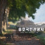 송호국민관광지, 송호리 솔숲, 영동에 가볼만한곳, 11월추천여행지
