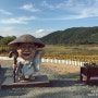 [대구가볼만한곳]아이와 함께 나들이 달성군 송해공원.