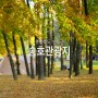 233. 충북 영동군 송호관광지 - 2017 최고의 캠핑 (1박2일)