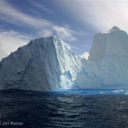 "남극해 보존"