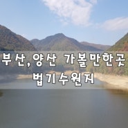 부산 근교 가볼만한곳 단풍구경하기 좋은 법기수원지