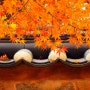 고창 여행 - 선운사 가을 단풍.