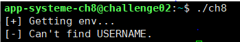 ELF x86 - Stack buffer overflow basic 4 : 네이버 블로그