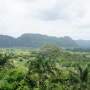 [CUBA] 비냘레스(Vinales)인디오동굴 시티투어버스 170827