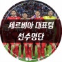11월 평가전, 세르비아 축구대표팀 선수명단