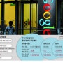 구글은 왜 한국 검색시장에 실패하였는가?