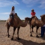 몽골 6박8일 여행]고비사막 낙타 라이딩