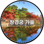 창경궁 가을 나들이(20171111)