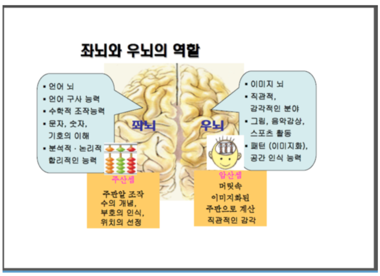 좌뇌와 우뇌의 역할 : 네이버 블로그