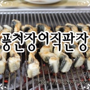 천안장어맛집 : 풍천장어직판장