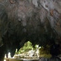 [뉴질랜드여행] 로토루아 꼭 가봐야 할 와이토모동굴 방문하기