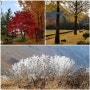 가을 워크숍 풍경 : 소백산 단풍놀이, 눈꽃놀이