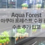 [아쿠아포레스트] 부세, 나나, 글라브라 웨이브 수초 입고 / 수원 광교 수족관