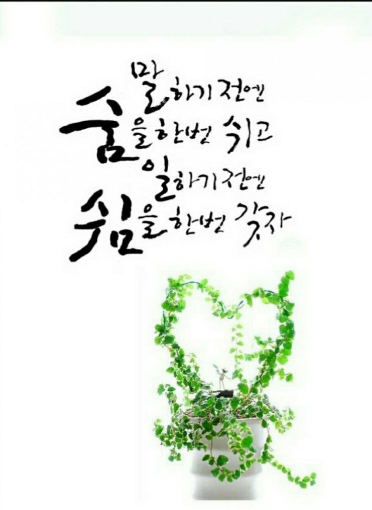 오늘의 글과 사랑, 좋은 글귀, 오늘의 명언, 오늘의 좋은글, 사랑의 좋은 글귀, 사랑의 명언, 사랑 짧은 글 2- 223 ...