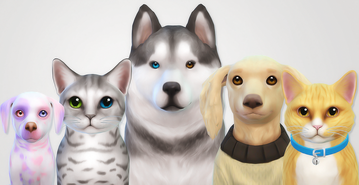 [심즈4] Glossy Eyes for Cats and Dogs : 네이버 블로그