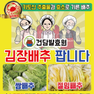 한국유통신문기사.절임배추파는곳.건담발효원