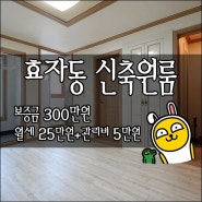 [효자동] 홍산초등학교 근처 착한가격원룸 「360도카메라」