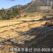 김해진례 토지 급매물