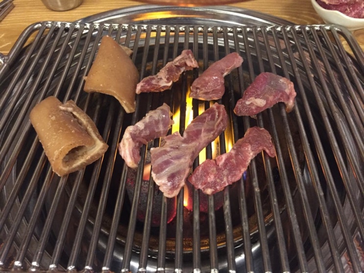한남대 서래갈매기 : 네이버 블로그