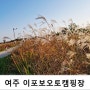 여주 이포보캠핑장에서 당남리섬의 여유로운 가을산책