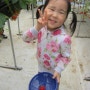 노루뫼 딸기농장 - 딸기수확체험하기