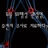 용인유전자주사치료 무릎관절염 치료법!