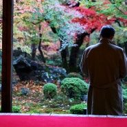 일본 :: 교토 엔코지 단풍놀이 (京都 瑞巌山 圓光寺の紅葉)