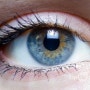 [건강] 눈건강을 되찾는 방법