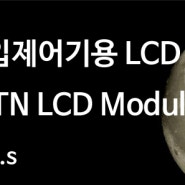 Mono Custom LCD Module HTN LCD Glass - 출입제어기용