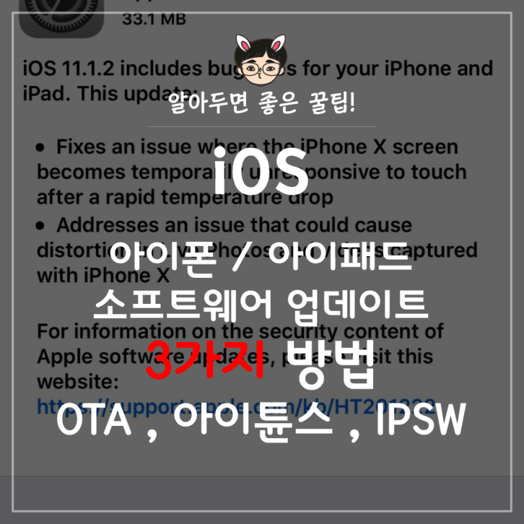 [iOS] 아이폰/아이패드 iOS 소프트웨어 업데이트하는 3가지 방법 및 다운그레이드 방법 : 네이버 블로그