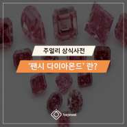 청다이아, 꼬냑다이아… 다양한 팬시 컬러 다이아몬드의 모든 것!