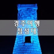 경주 야경 투어 화려한 조명으로 둘러싸인 첨성대