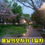 <오사카>꽃청춘3♡ 1일차Ⅱ- 오사카성 니시노마루정원야간개장, 도톤보리, 야스베츠케멘
