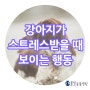 인천 서창지구 물빛동물병원 동물상식 : 강아지가 스트레스받았을 때 보이는 행동