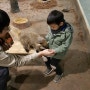 서울 실내동물원 더쥬 동물원 : 아이와 가볼만한 곳