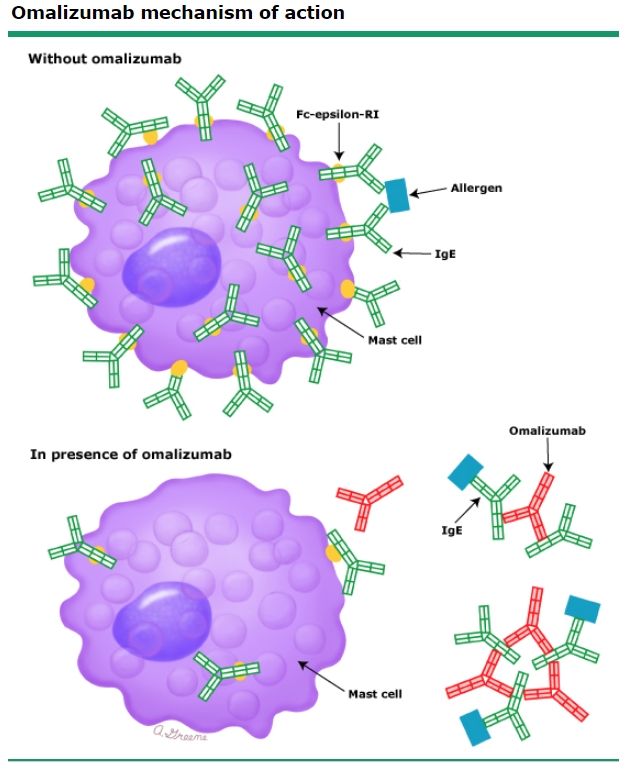 Xolair Omalizumab