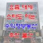 스타들도하는 수익형부동산 명지국제신도시 추천물건