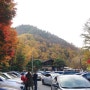 대전 나들이 갈만한 곳 만인산 자연휴양림
