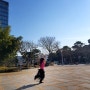 울산 동구 가볼만한 곳 서부동 현대예술공원에서 예쁜단풍나무들과 어여쁜사진찍기~ :)