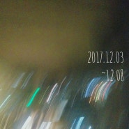 12.03~12.08 . 노원 졸리(jolly) + 감기 +서울시 인재개발원 교육 후기2. Mt