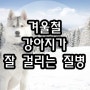 겨울에 강아지가 잘 걸리는 질병