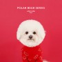 Polar Bear Series