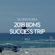 NU SKIN 2018 BDMS SUCCESS TRIP: 열정 편 (뉴스킨 코리아, 호주골드코스트, 트웰브라운드)
