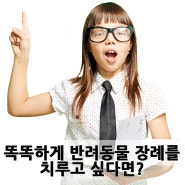 똑똑하게 반려동물 장례를 치르고 싶다면?