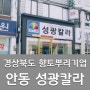 경상북도 향토뿌리기업 안동 성광칼라