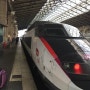 [유럽여행] 파리에서 벨기에 브뤼셀로 떼제베 (Paris to Brussels by TGV)
