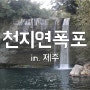 제주도 여행: 천지연 폭포 (1)